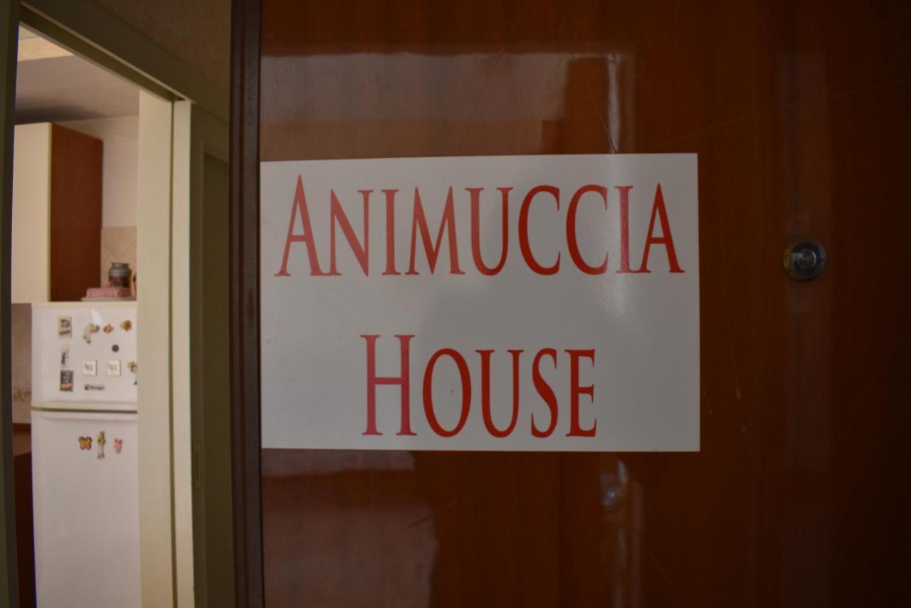 Casa Vacanze "Animuccia House" Roma Екстериор снимка